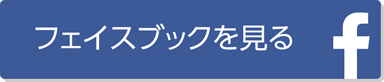 フェイスブックを見る